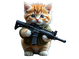 Machine Gun Kitten - The most memeable kitten on the internet